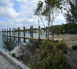 Muddy Hole Dock